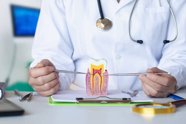 Best Tooth Pain Emergency Relief  in New Market, AL
